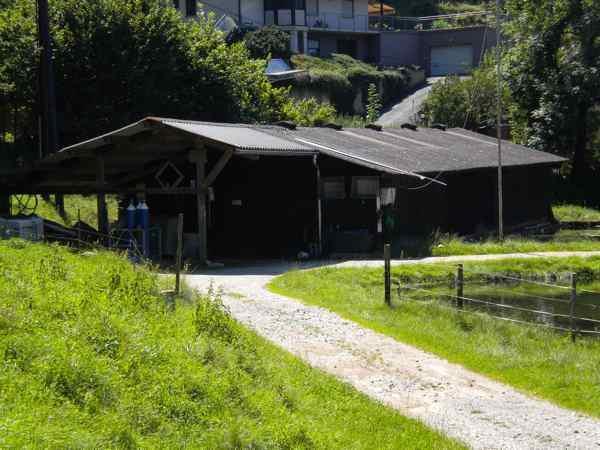 Bild 2 von Igler Forellenzucht
