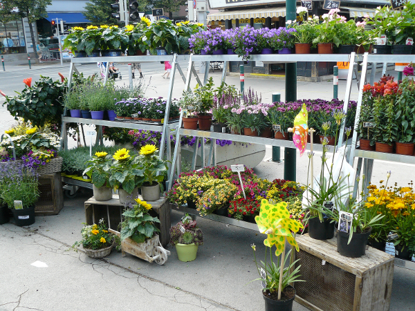 Bild 4 von PENZO Flora Flötzersteig GmbH