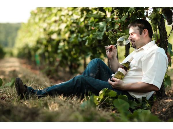 Bild 3 von WINZERHOF Stefan Rosenberger