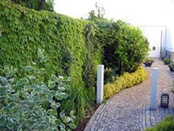 Bild 5 von Gartengestaltung & Schneeräumung Karlich Günter