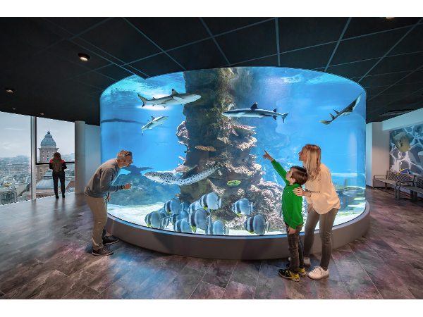 Bild 4 von Haus des Meeres Aqua Terra Zoo Wien