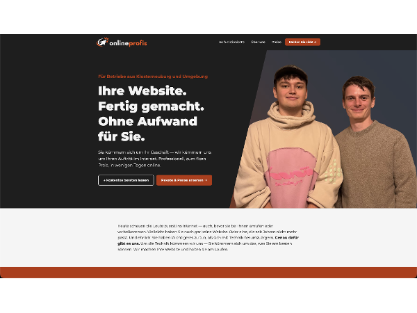 Bild 3 von onlineprofis