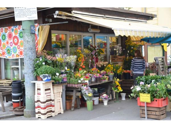 Bild 8 von Blumen am Platzl Andrea Ferian