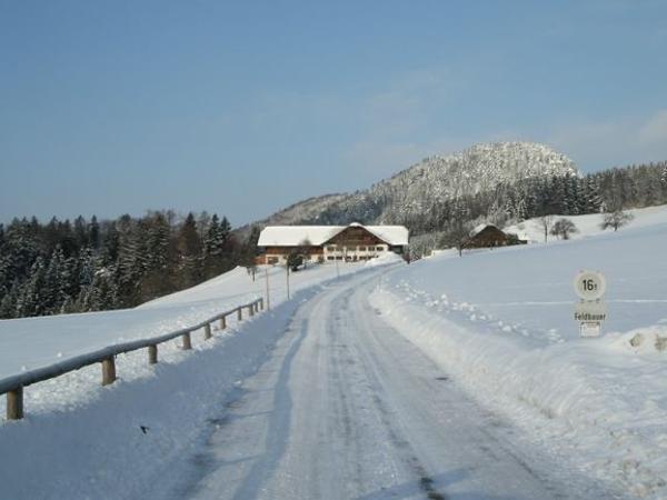 Bild 3 von Schöffbaumgut - Familie Zuckerstätter