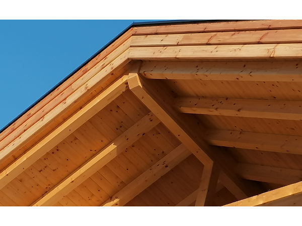Bild 14 von TEAM H&N Holzbau GmbH