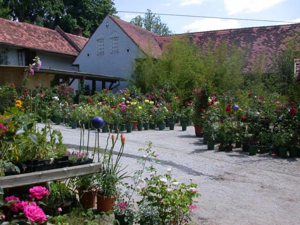 Bild 8 von Ecker - Eckhofen Gartengestaltung KG