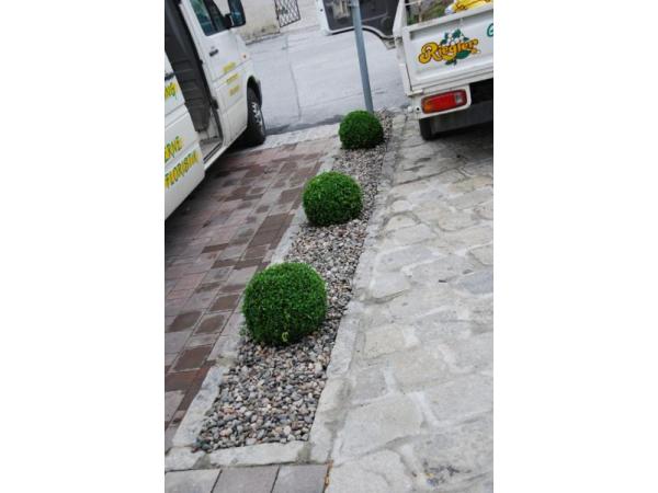 Bild 17 von Blumen und Gärtnerei Riegler GmbH