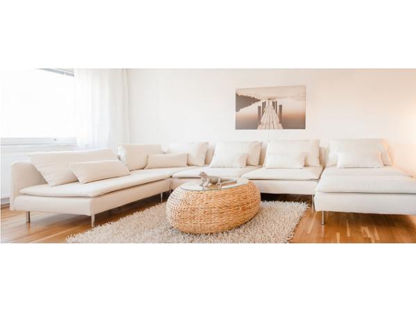 Bild 2 von Homestaging Expert - DI Dr. Birgit Rader