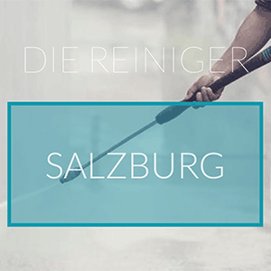Logo von Die Reiniger Salzburg