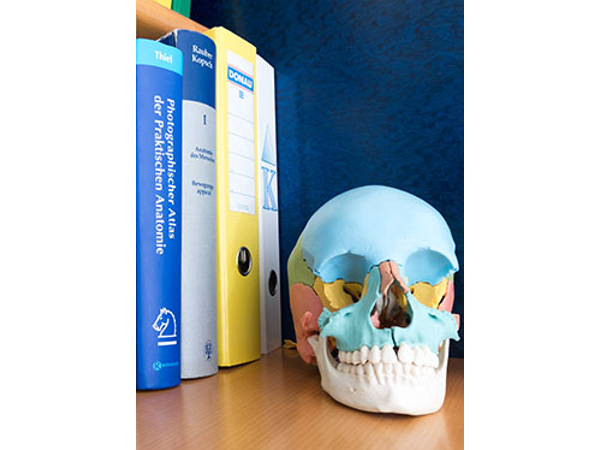 Bild 2 von Birgit Archer, MSc. D.O.