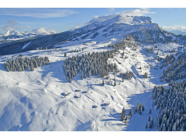 Bild 52 von Bergbahnen Steinplatte Waidring/Triassic Park