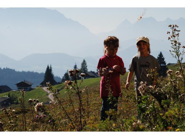 Bild 25 von Reitlhof
