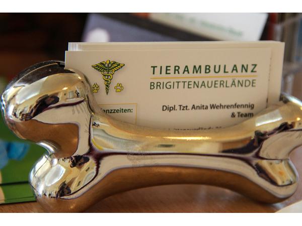 Bild 11 von TIERAMBULANZ BRIGITTENAUERLÄNDE