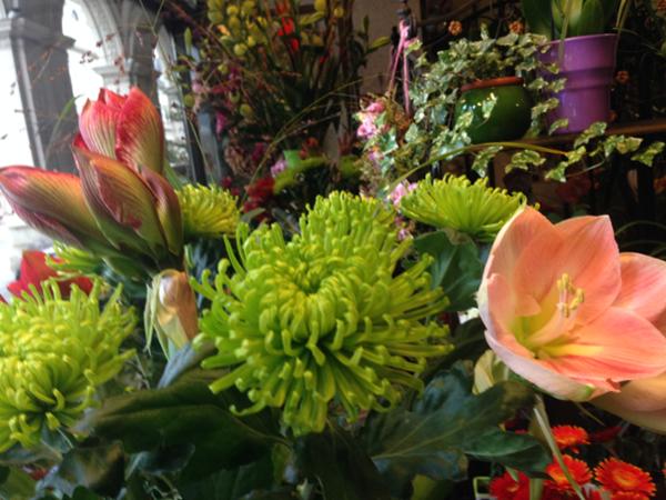 Bild 2 von ARKADENBLUMENHAUS - Kruba Brigitte