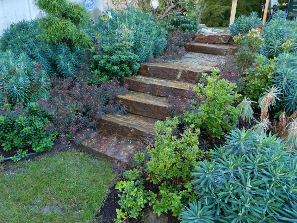 Bild 1 von Gartenreich Monika Schüttengruber