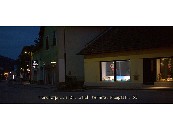 Single Night Aus Murau Single Date Pernitz Kostenlose Singlebrsen Silz Sie Sucht Ihn Markt In Stegersbach. Single Lokale In Sankt Peter In Der Au Markt Single Night Aus Murau Single Date Pernitz Kostenlose