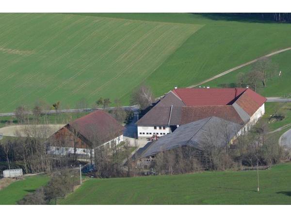Bild 8 von Reitergut Weissenhof - Fam Veits