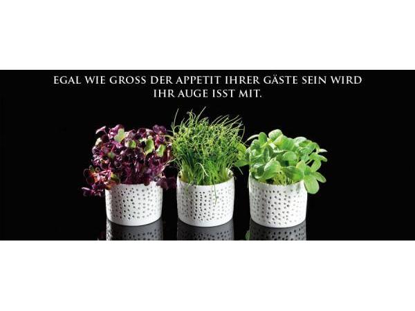 Bild 1 von Kitchenclub GmbH