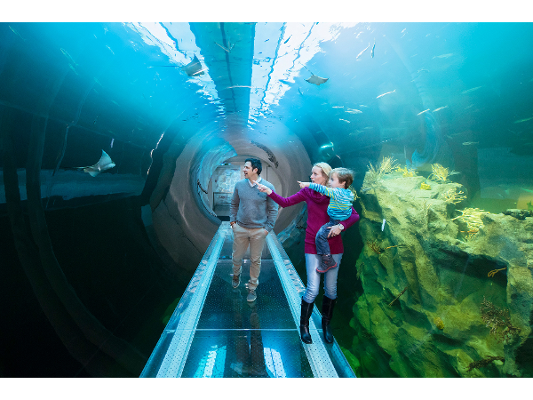 Bild 6 von Haus des Meeres Aqua Terra Zoo Wien