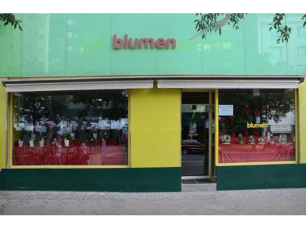 Bild 1 von Blumen Samara