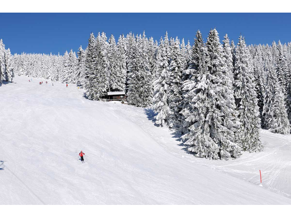 Bild 6 von Tourismusverband Joglland – Waldheimat