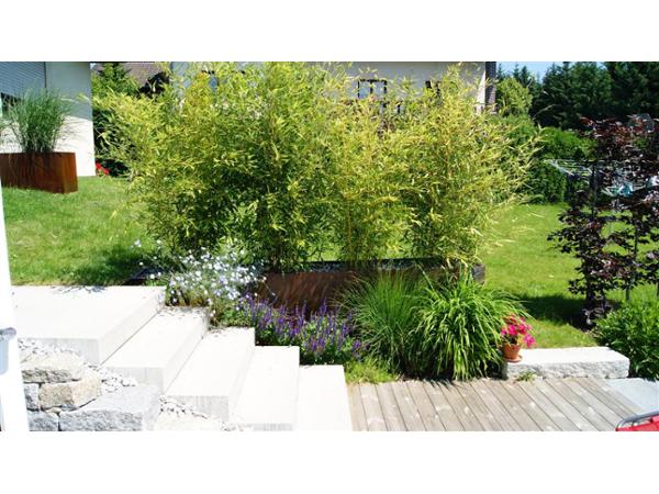 Bild 6 von GartenKult