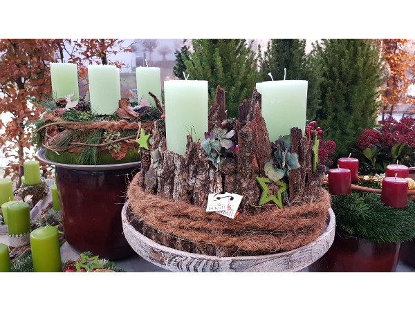 Bild 93 von Gartenbau-Blumen Helmut Friedl