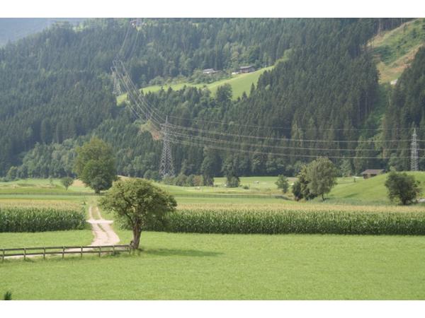 Bild 17 von Ebster Resi