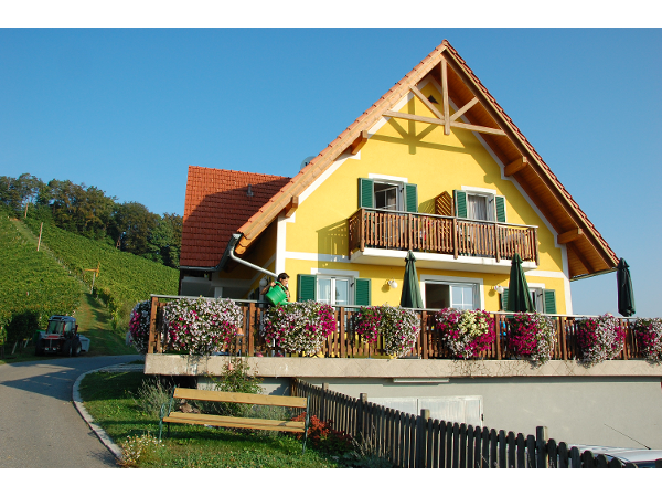Bild 10 von Weingut - Gästehaus Birnstingl