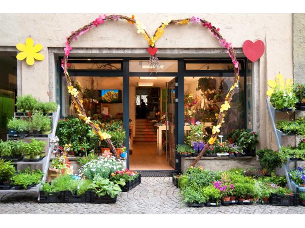 Bild 1 von Blumen Neuner