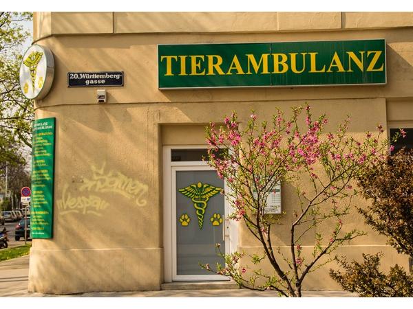 Bild 14 von TIERAMBULANZ BRIGITTENAUERLÄNDE