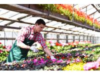 Blumen Steurer | Ihr Landflorist am URTELHof