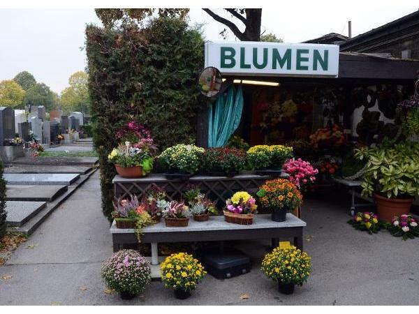 Bild 1 von Göschl Grab- u Gartengestaltung