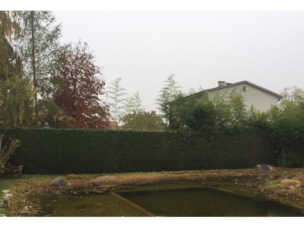 Bild 30 von Dobler's Hausservice