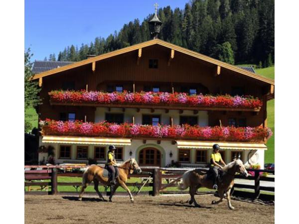Bild 19 von Naturhotel Hammerhof