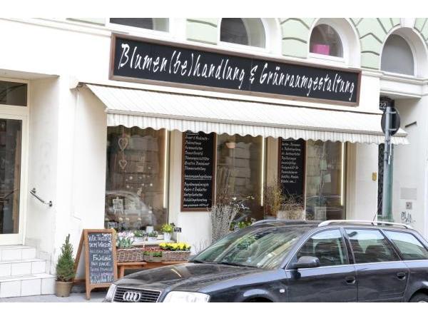 Bild 1 von Blumen(be)handlung