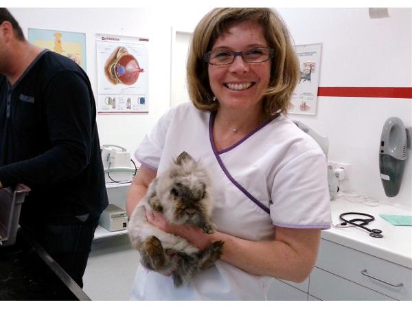Bild 4 von TIERAMBULANZ Premstätten - Dr. Petra Tatzer