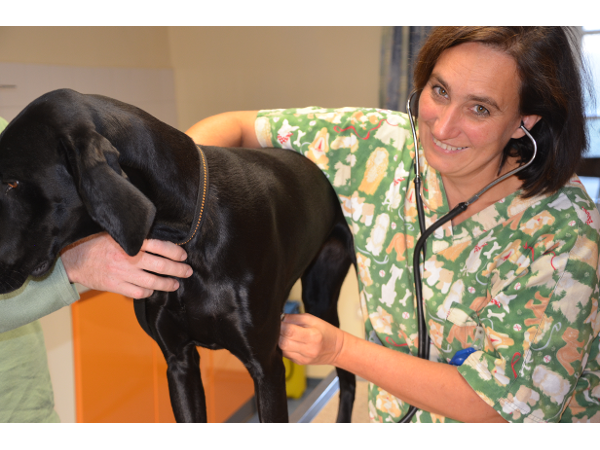 Bild 8 von Dr. med. vet. Christine Robia