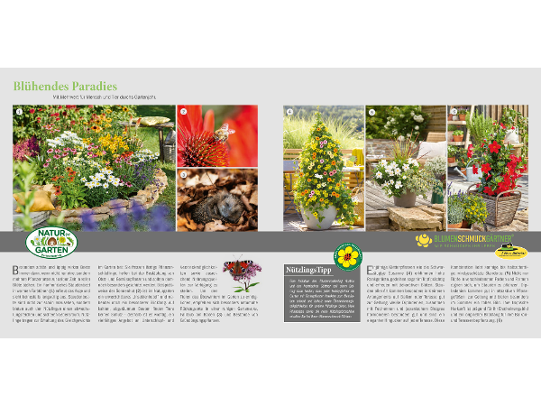 Bild 151 von Gartenbau-Blumen Helmut Friedl