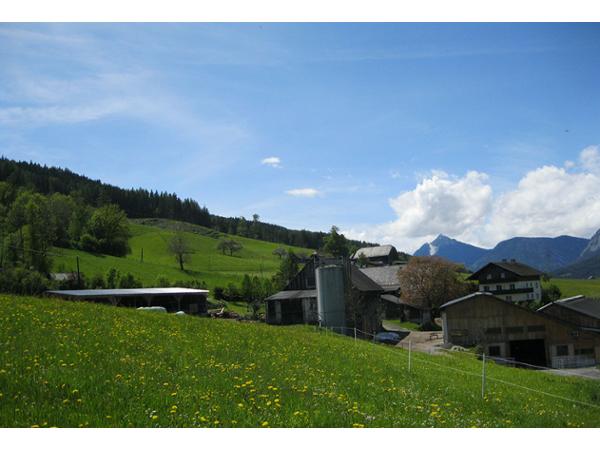 Bild 8 von Goschnhof