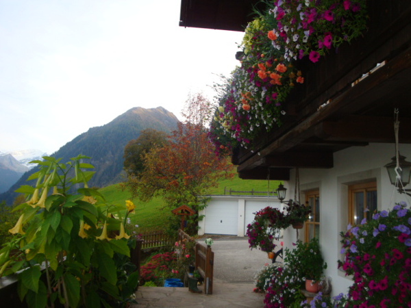 Bild 2 von Leitenheimhof