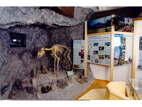 Bild 1 von Naturpark-Infozentrum Scharnitz
