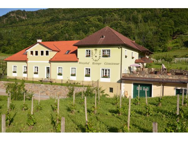 Bild 1 von Weingut Rixinger