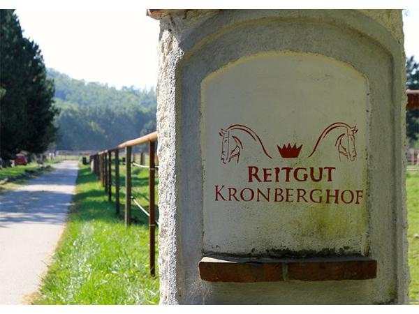Bild 8 von Reitgut Kronberghof