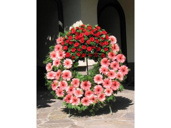 Bild 1 von Blumen Tamandl