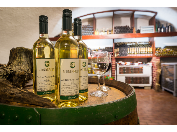 Bild 3 von Haus Martin *** - Weingut Schneeberger