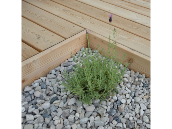 Bild 8 von Holz Republic e.U.