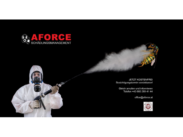Bild 4 von A Force e.U.