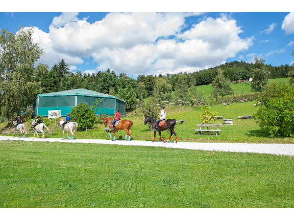 Bild 6 von Hotel Muhr