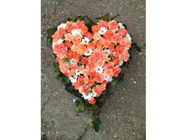 Bild 1 von Seefried Blumenbau GesmbH